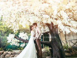 米娅花园欧式风格建筑浪漫唯美室内婚纱摄影照片