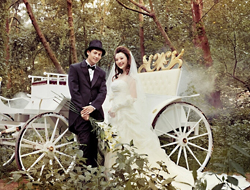 绿野游憩欧式马车悠然享受自然森林古韵婚纱摄影照片