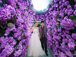 紫色花墙通道摄影青春唯美婚纱照