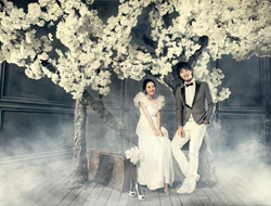 樱花树下白月光自然端庄新娘婚纱摄影