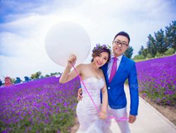 紫色薰衣草花海摄影唯美婚纱照