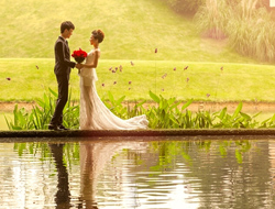 最流行户外草坪背景简约优美自然婚纱摄影照片