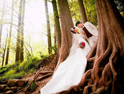 户外自然森林摄影阳光下的幸福留念婚纱照片