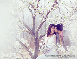 浪漫樱花树下摄影自然田园风格婚纱照片
