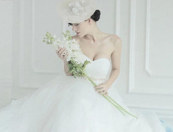 玉兰花的白色浪漫 纯色写真
