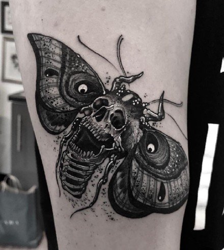 飞蛾搭配骷髅的一组school纹身图案