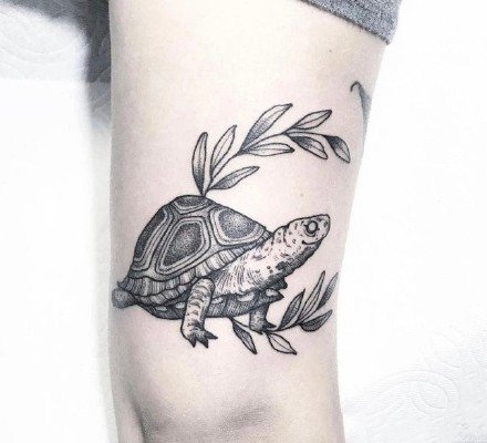 一波小海龟主题的乌龟纹身图片