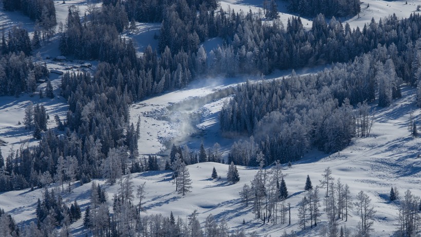 冬季白雪覆盖的森林图片(16张)