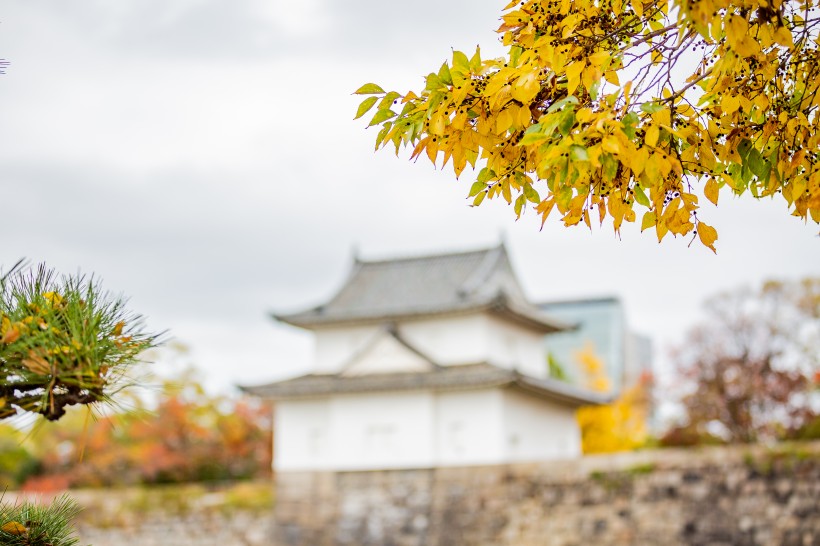 日本大阪迷人秋季风景图片(11张)