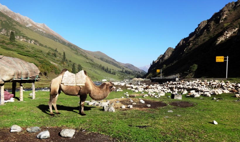 大美新疆自然风景图片(10张)