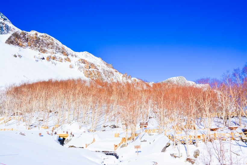 吉林长白山自然风景图片(10张)