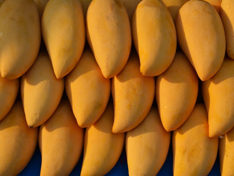 香甜的芒果图片(9张)