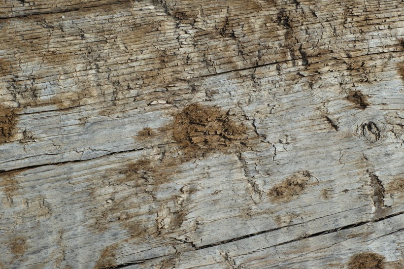 破旧的木头背景素材图片(9张)