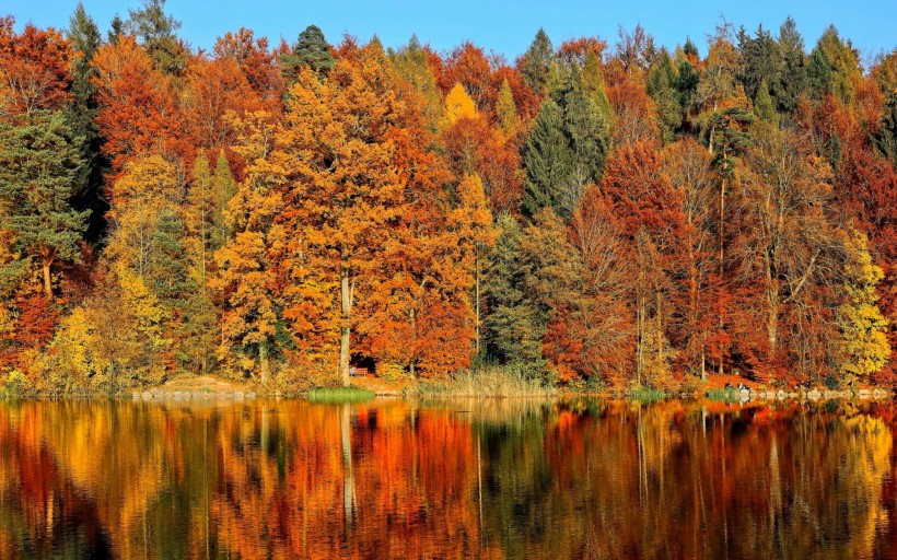 唯美而让人沉醉的秋季风景图片(10张)