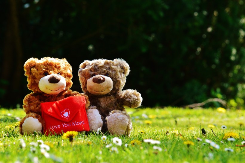 可爱的泰迪熊玩具图片(10张)