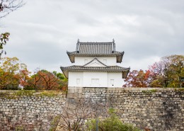 日本大阪迷人秋季风景图片(11张)