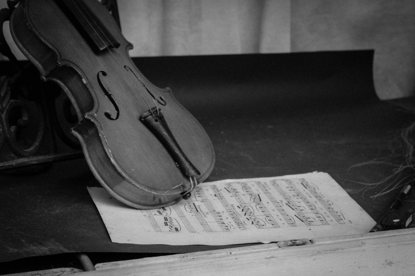 典雅的小提琴图片(12张)