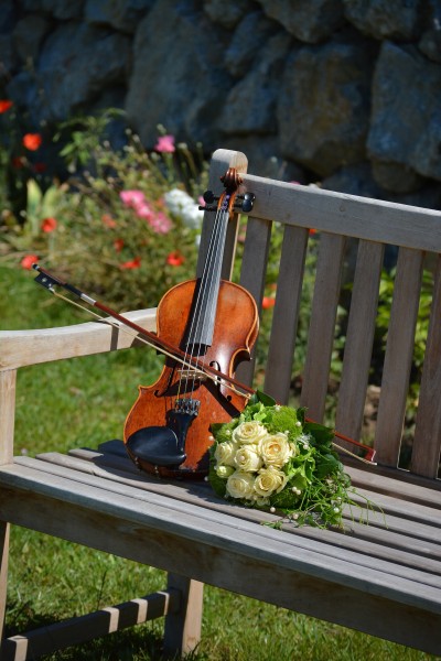 典雅的小提琴图片(12张)