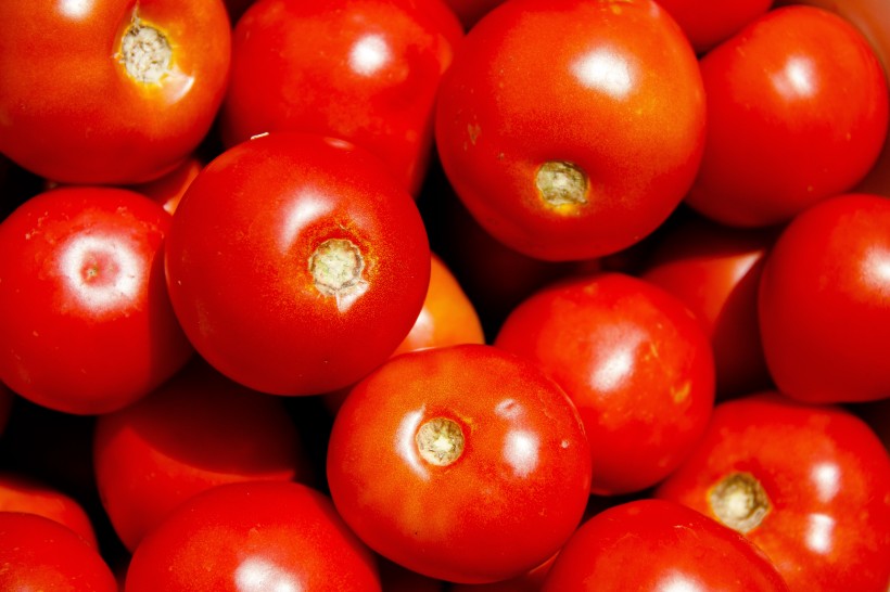 鲜红的西红柿图片(12张)