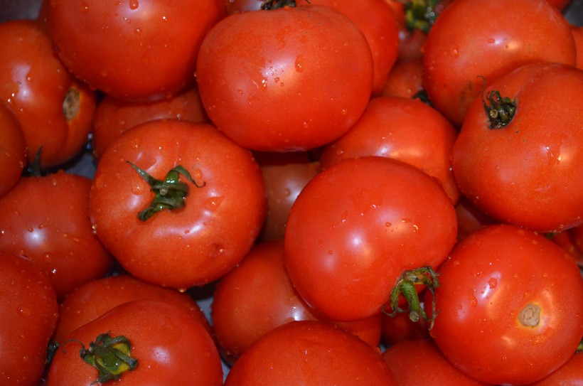 鲜红的西红柿图片(12张)