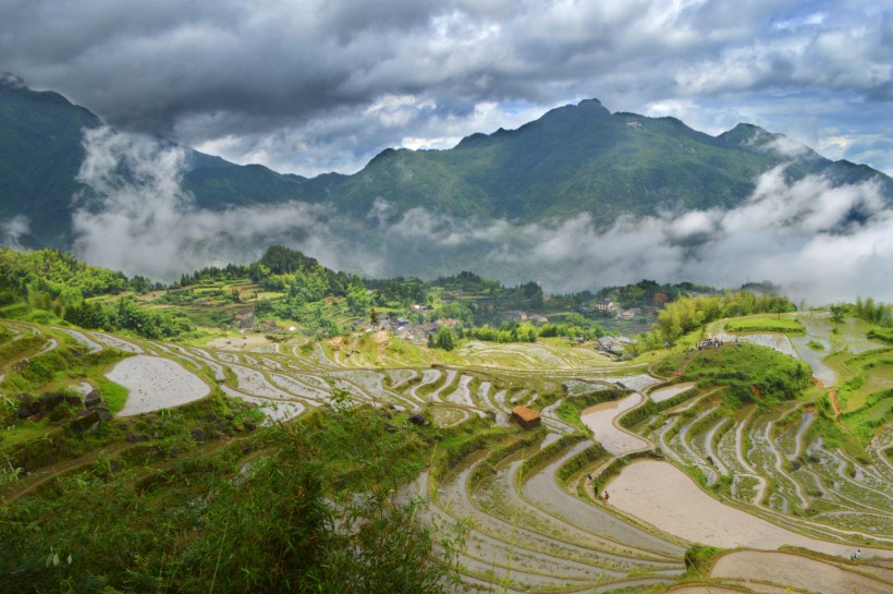 浙江丽水云和梯田自然风景图片(10张)