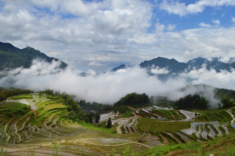 浙江丽水云和梯田自然风景图片(10张)