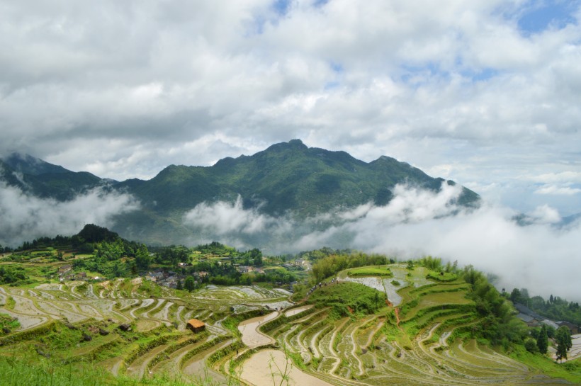 浙江丽水云和梯田自然风景图片(10张)