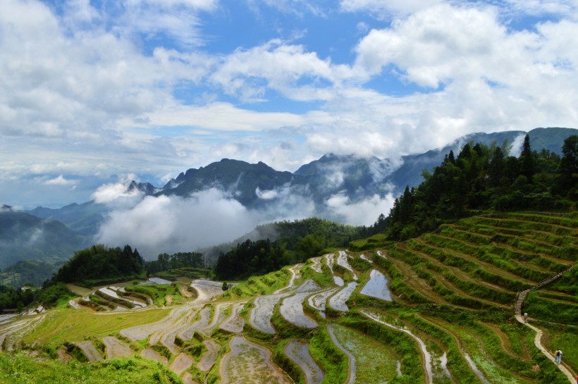 浙江丽水云和梯田自然风景图片(10张)