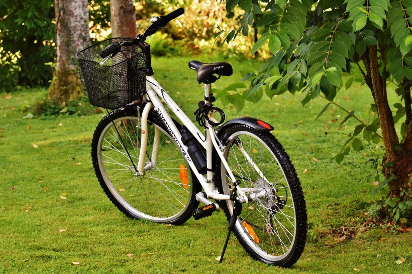 草地上的自行车图片(12张)