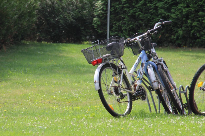 草地上的自行车图片(12张)