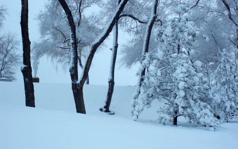 哈尔滨冬天迷人雪景高清图片