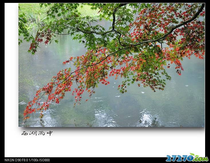 高清西湖雨中唯美摄影