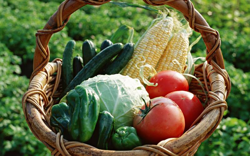 新鲜绿色健康蔬菜高清图片拍摄