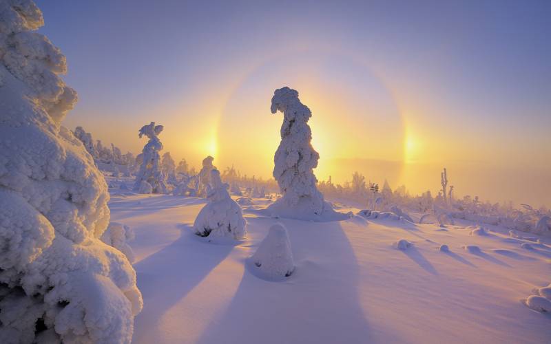 粉妆玉砌雪景高清壁纸