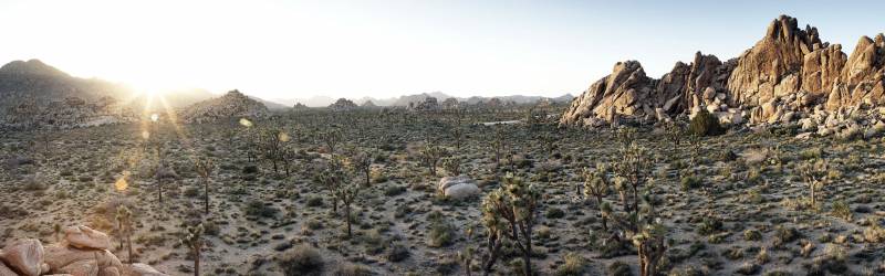 苍茫荒芜的沙漠风光高清图片赏析