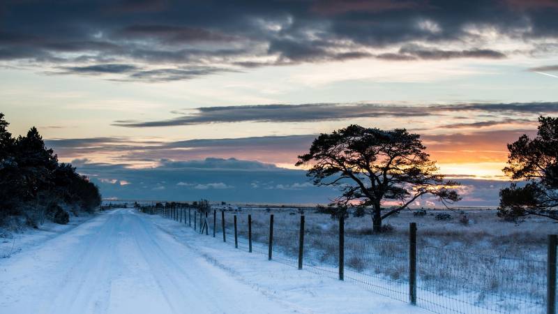 冬日雪景唯美纯白风景高清美图欣赏