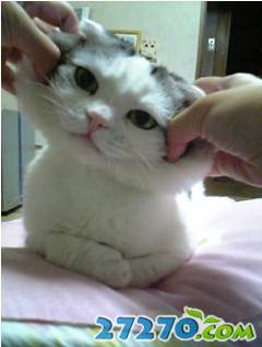 每日爆笑 恶搞笑点