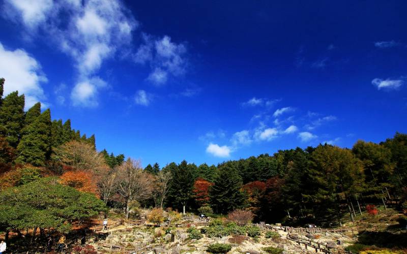 日本神户六甲山初秋迷人自然风景