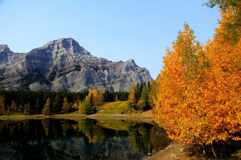 加拿大阿尔伯塔唯美秋景高清图片