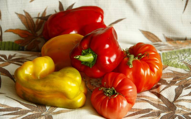 火红的辣椒创意唯美蔬菜图片