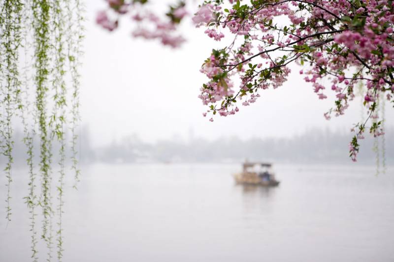水乡之称苏州湖畔杨柳风景图片