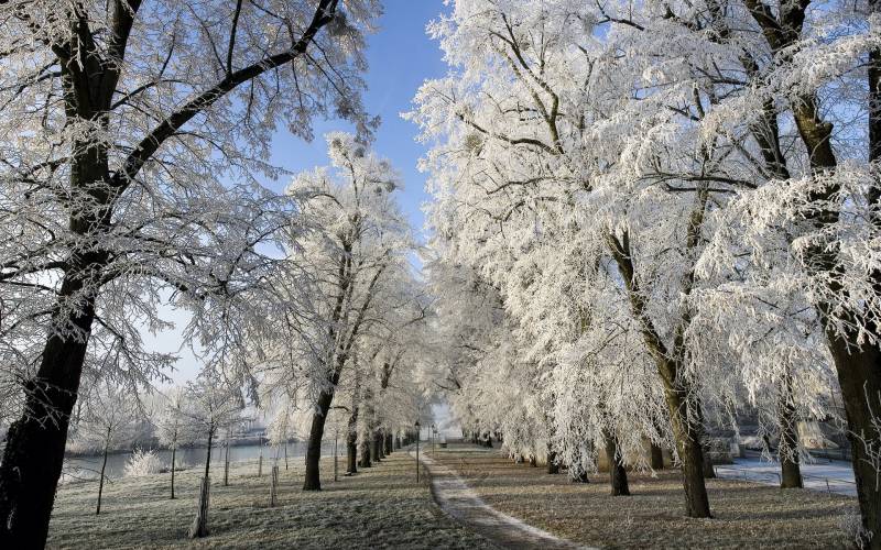 唯美雪路精美壁纸赏析