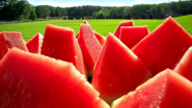 精美“瓜中之王”西瓜的高清水果图片