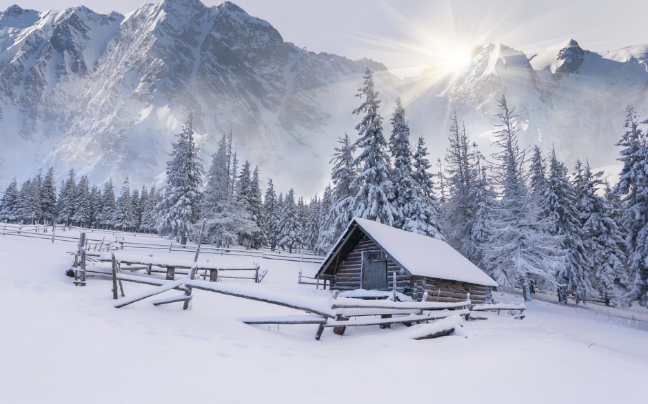 雪中美景唯美壁纸高清组图