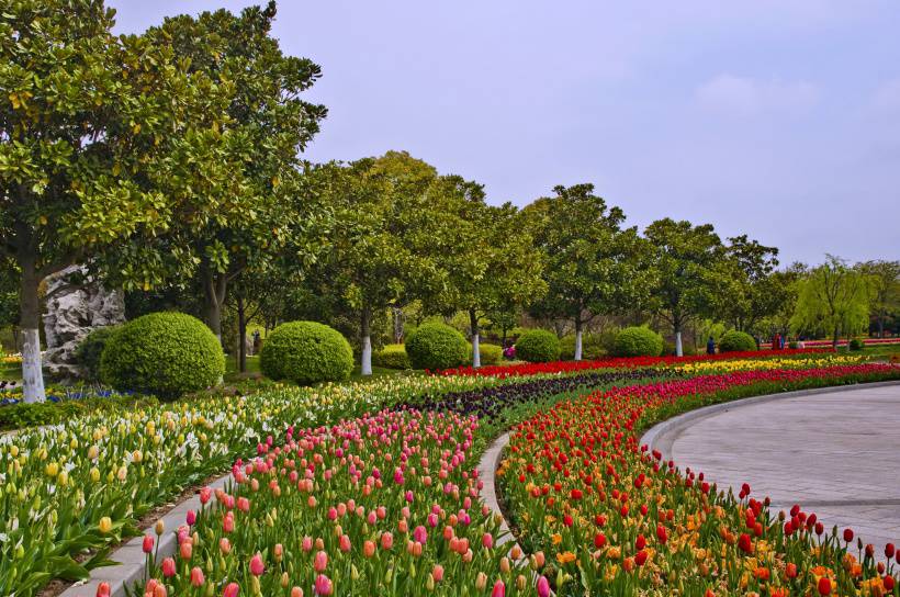 上海鲜花港风景高清图片欣赏