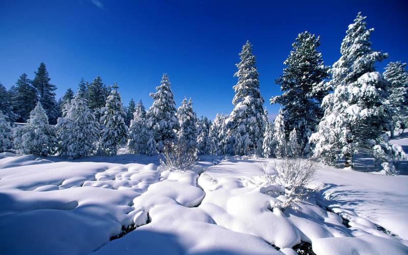 唯美冬天雪景高清电脑壁纸