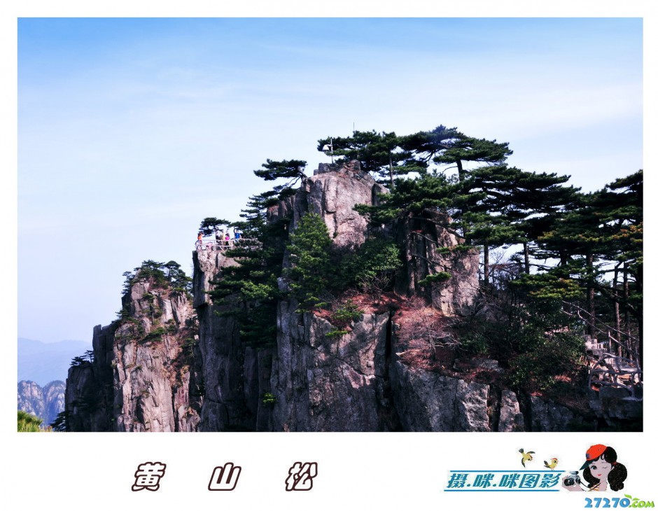 高清黄山松唯美风景摄影