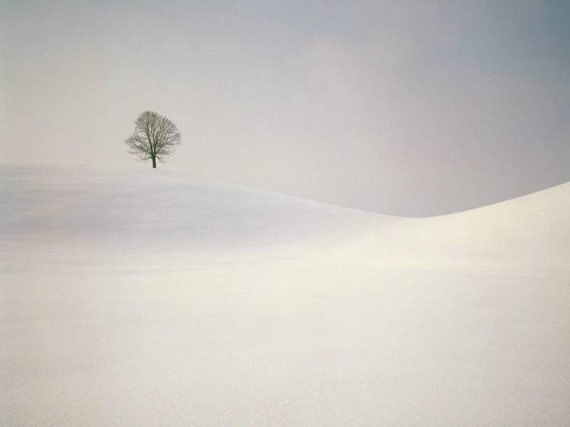 干燥的小屋雪景高清风景壁纸赏析