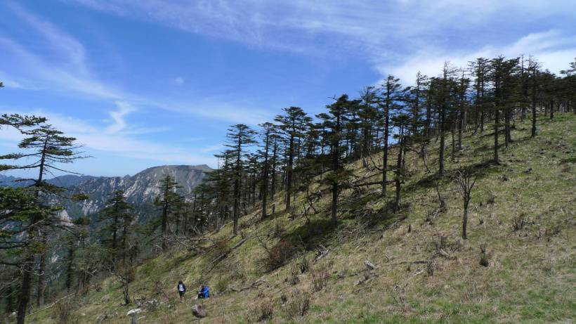 秦岭唯美高清风景图片