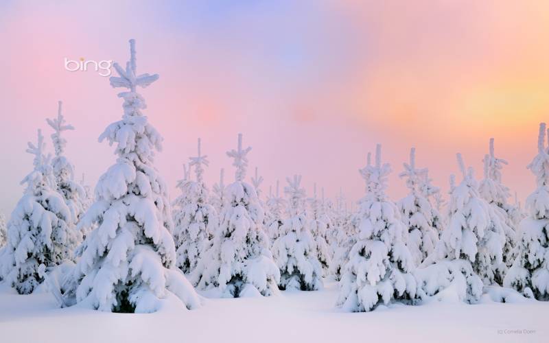 冬季万里雪飘唯美高清壁纸